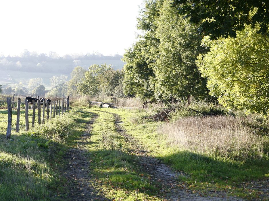 country walks